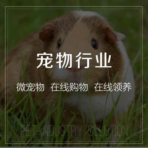 白银宠物