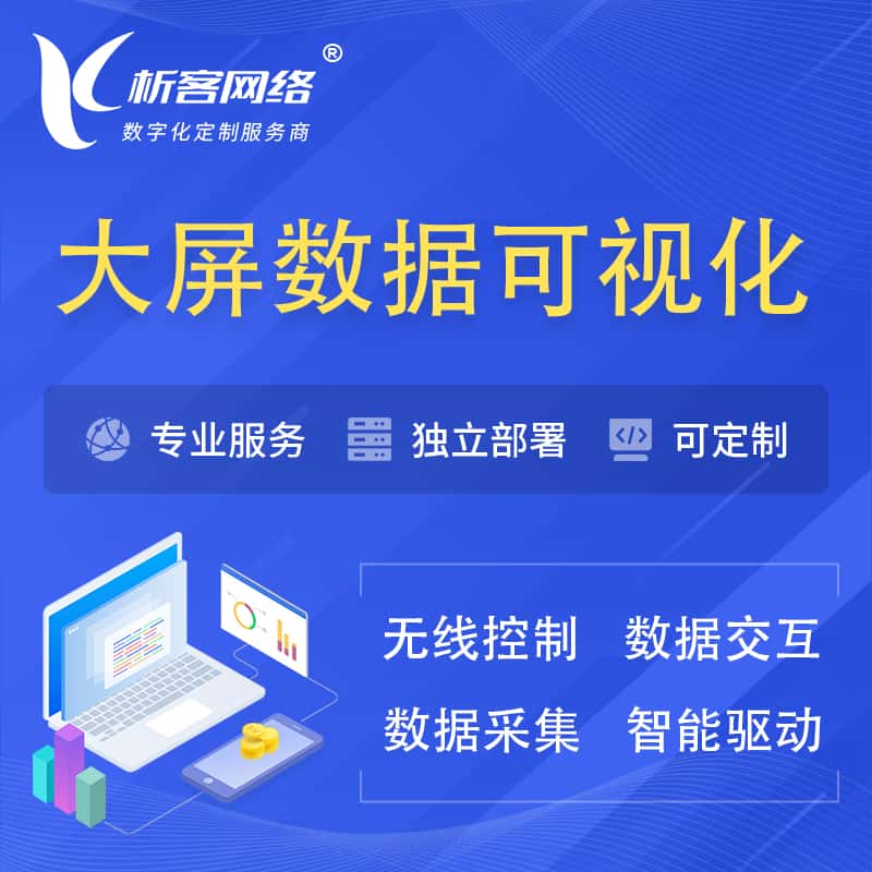 白银大屏互动数据可视化 | 数据大屏系统