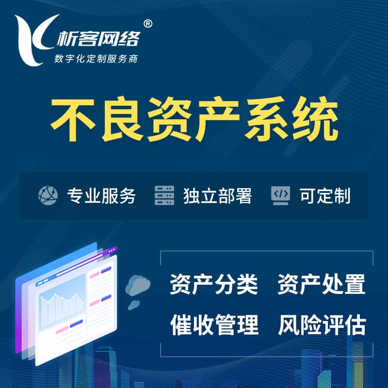 白银不良资产管理系统